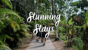 Stunning Stays